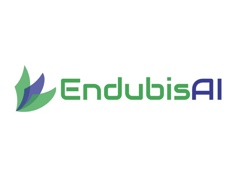 endubisllc.com